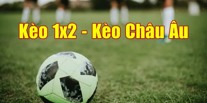 Khám phá về thế giới của kèo châu âu