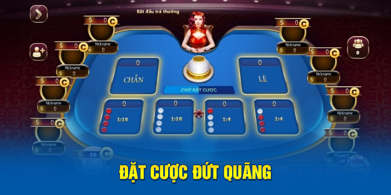 Đặt cược đứt quãng