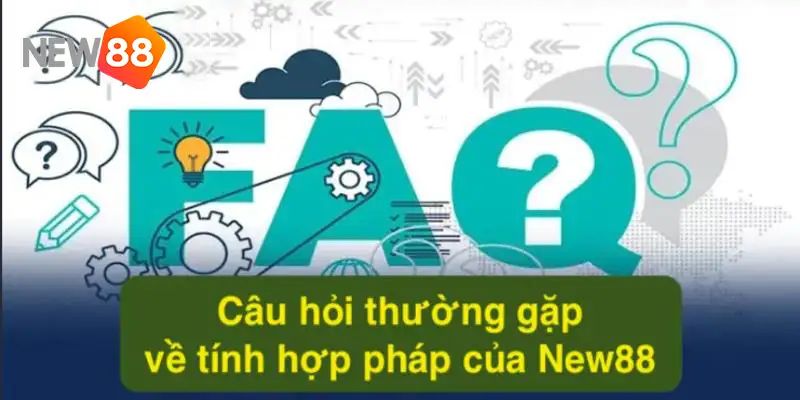 FAQs câu hỏi thường gặp về tính pháp lý của New88