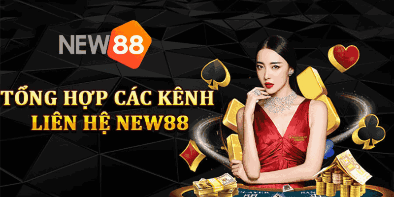 Liên hệ New88 - Hỗ trợ 24/7