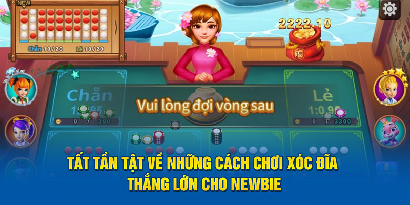 Tất Tần Tật Về Cách Chơi Xóc Đĩa Thắng Lớn Cho Newbie