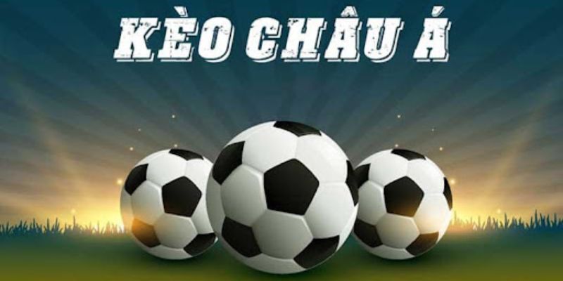 Kèo châu Á là một trong ba dạng cược chính được triển khai tại sảnh chơi